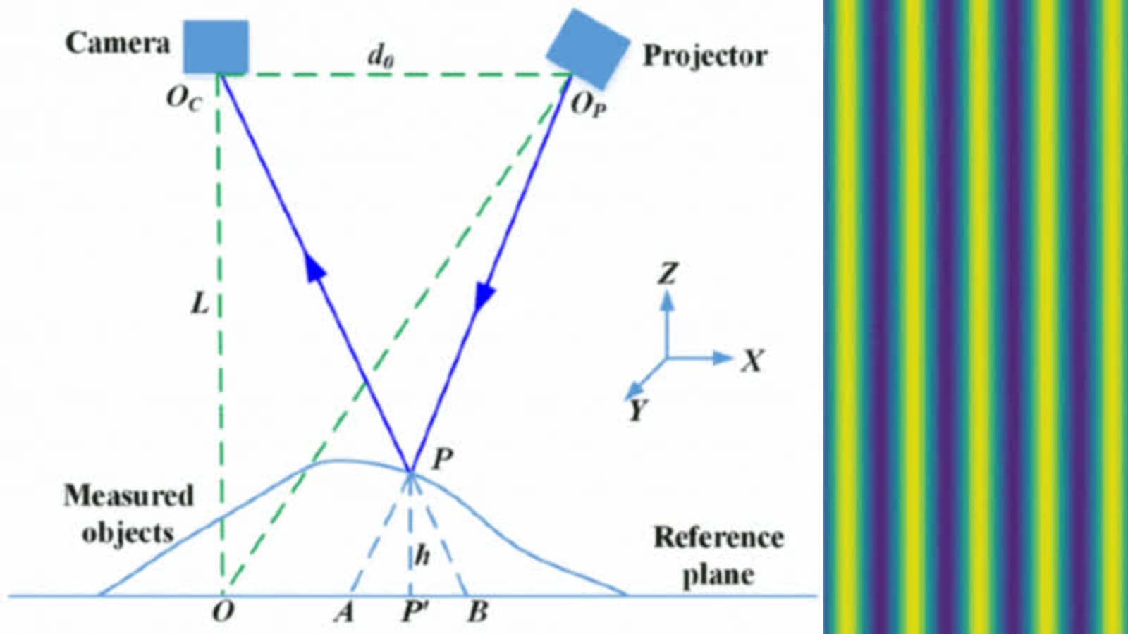 What is Fringe Projection? The Backbone to Objective Measurements by Phase3D.